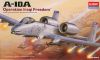 A-10A Iraq version