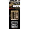 Focke WulfFw190D-9 Seatbelts