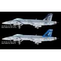 F/A-18E VFA-143 