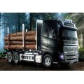 RC FH16 Timber Truck