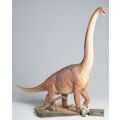 Brachiosaurus Diorama