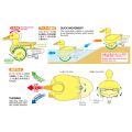 Walking & Swimming Duck(Yel)