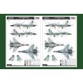 Su-27 Flanker early
