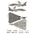 USN F-14D 1/48