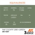 RAF Cockpit Grey-Green 17ml