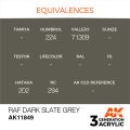 RAF Dark Slate Grey 17ml