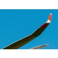 DG-1000 glider-20m Winglets (Brengun kit