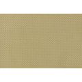 Modern Lentil type engraved plate