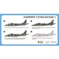 Harrier T.2/TAV-8A/VAE.1