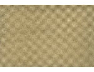 Engraved Plate - German Early type