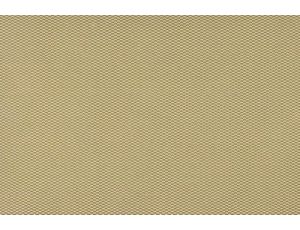 Engraved Plate - Lentil type