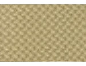 Engraved Plate - Modern Lentil type