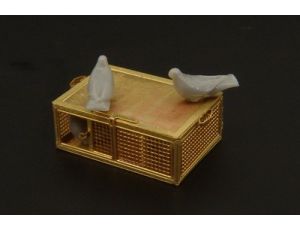 US pigeons of war