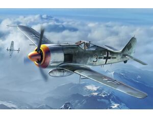 Focke-Wulf FW190A-8 1/48