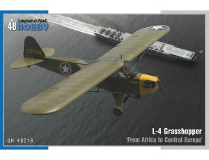 L-4 Grasshopper"From Africa to Central E