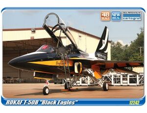T-50B Black Eagles 1/48