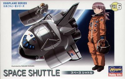 Space Shuttle Eggplane