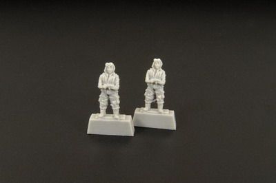 Japanese pilot WWII *2