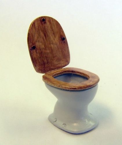 Záchodová mísa