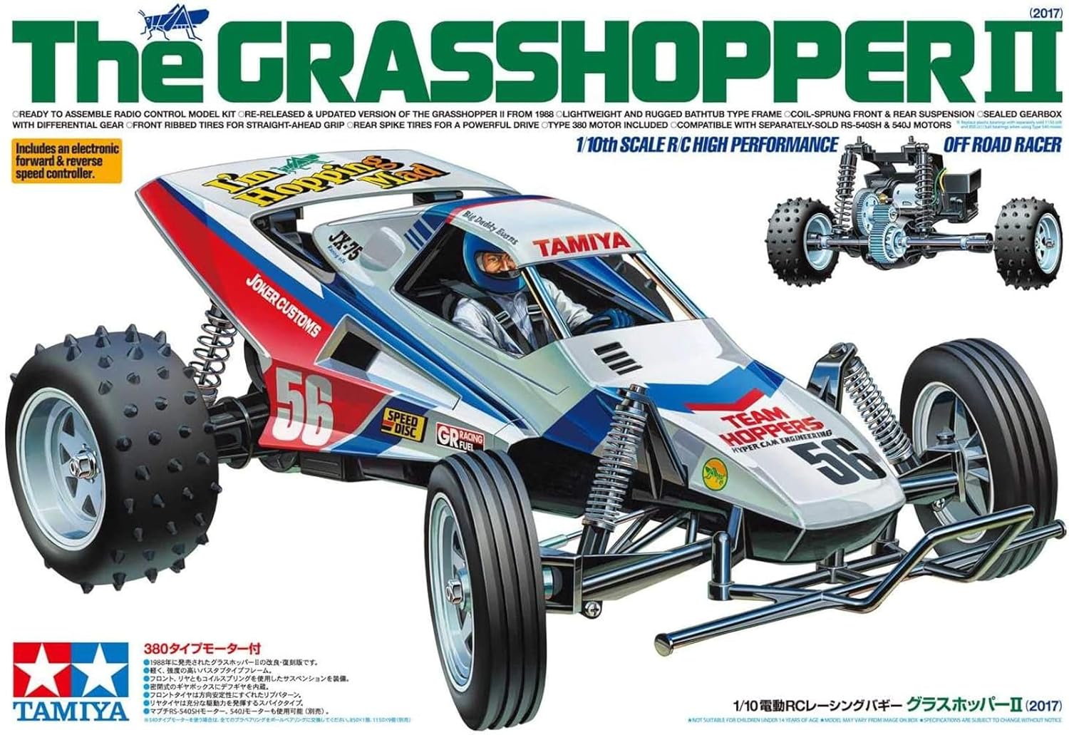 The Grasshopper II(2017)